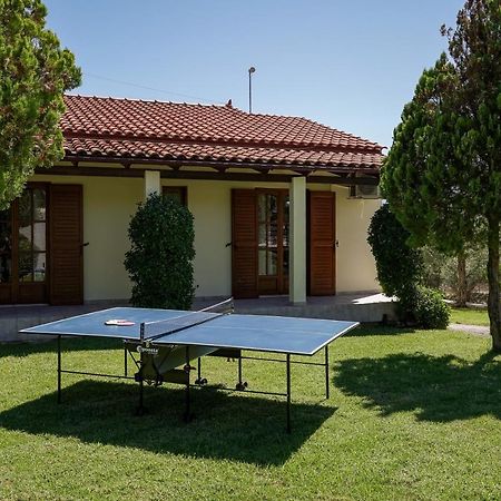 Lefkothea Villas With Large Pool, Bbq & Playground อาเดเลียโนส กัมโปส ภายนอก รูปภาพ